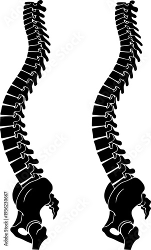 Two identical black silhouettes of a human spine viewed from the side silhouette
