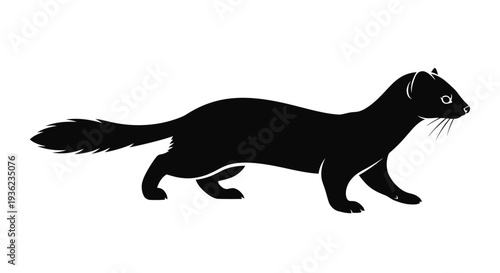 Black silhouette of a weasel isolated on a white background