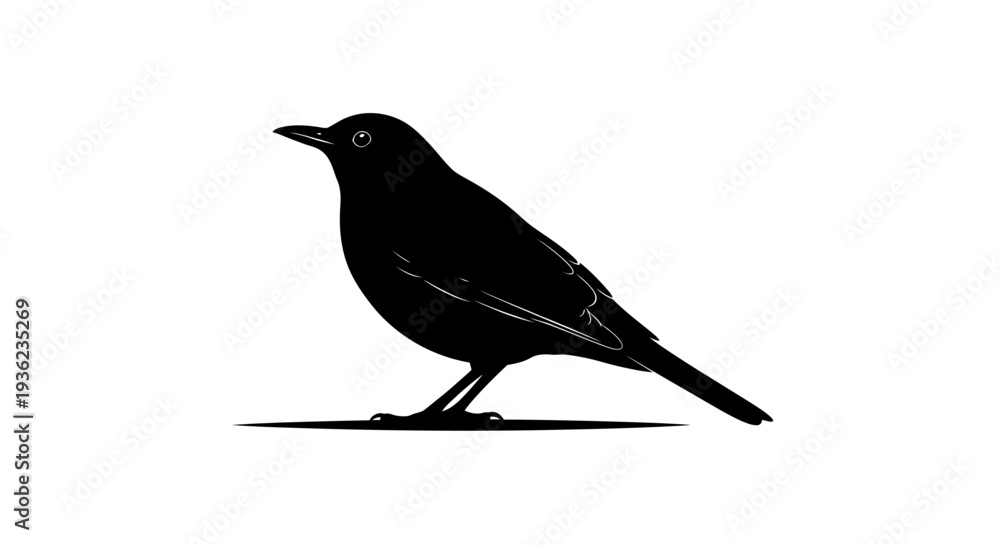 Obraz premium Black silhouette of a bird on a white background vector illustration