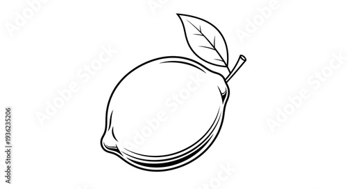 Monochrome lemon illustration with leaf isolated on white background