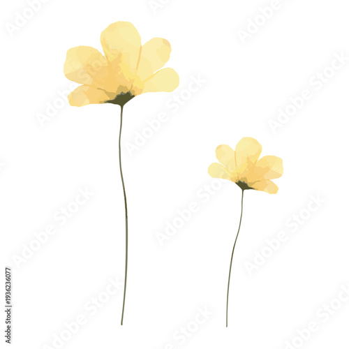 水彩風の黄色い花のデザイン｜フラワー・植物・春・ナチュラル装飾