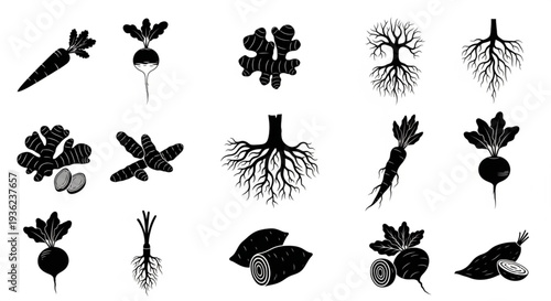 Diverse Organic Root Vegetables and Plant Icons