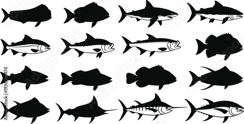 Fish silhouettes collection, sixteen diverse aquatic species vector illustration, marine life design elements, underwater biodiversity chart, educational biology concept artwork