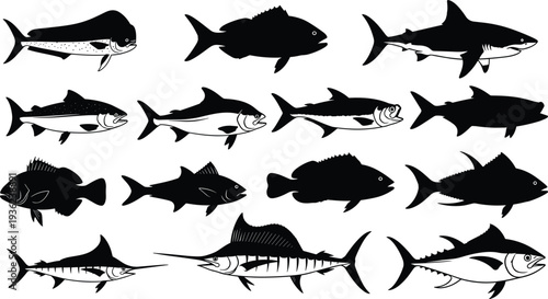Fish silhouettes, fourteen diverse species in side profiles, tuna, swordfish, marlin, trout, bass, detailed fins, tails, aquatic anatomy