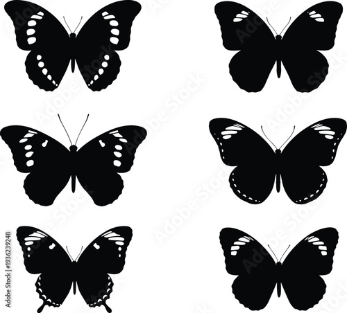 Butterfly silhouettes with distinct wing shapes, white markings, insect patterns, entomology study, decorative design vector illustration collection