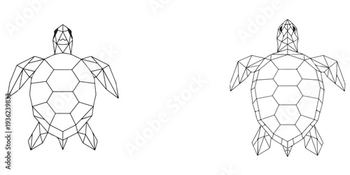 Two turtles depicted in geometric line art from a dorsal viewpoint showcasing animal design and illustration style on a simple background