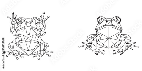 Geometric Frog Illustrations with Floral Elements and Abstract Lines
