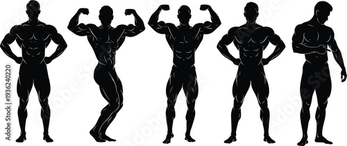 Set of Professional Bodybuilder Silhouettes Posing in Front Double Biceps and Lat Spread for Fitness Competition and Muscle Training Graphics