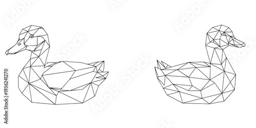 Geometric wireframe ducks illustration on a clean white background from multiple viewpoints