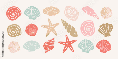 Collection of colorful seashells and starfish on a light background