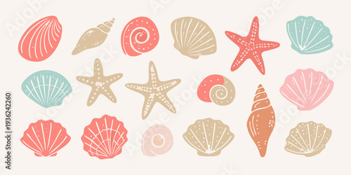 Collection of colorful seashells and starfish in a playful arrangement