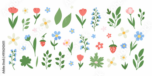 A colorful collection of illustrated wildflowers leaves and strawberries