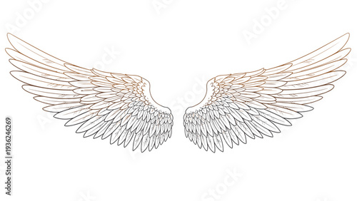Beautifully detailed pair of white feathered wings spread wide against a clean white background for angelic and mythological themes.