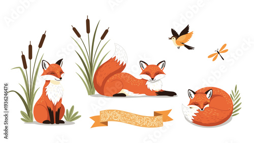 Collection of cute illustrated foxes in different poses like sitting and sleeping, accompanied by a bird, dragonfly, and plants.