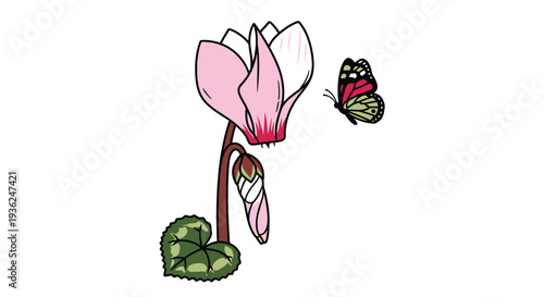 Pink Cyclamen Flower with Butterfly in Garden Scene
