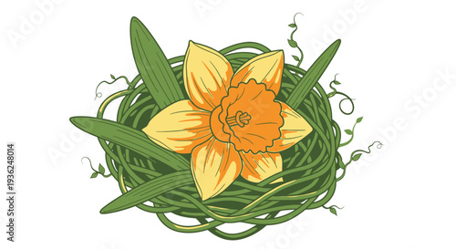 Narcissus flower nestled in green nest of vines