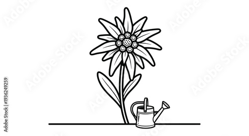 Sunflower with Watering Can