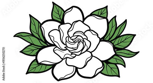 White Camellia Flower with Green Leaves
