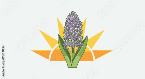 Purple hyacinth flower with sunburst behind it