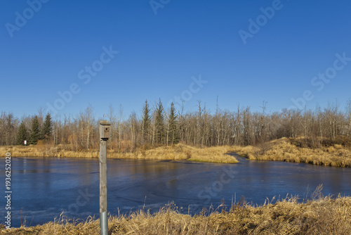 Pylypow on a Sunny Autumn Day