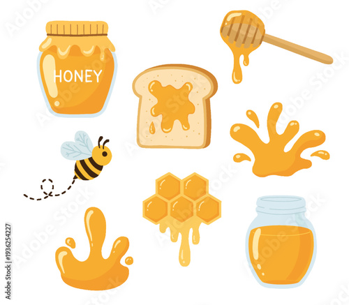 Organic Honey and Bee Illustration Set