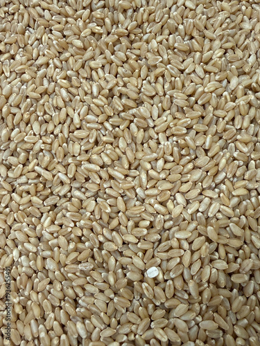 A close up of a large pile of brown rice
