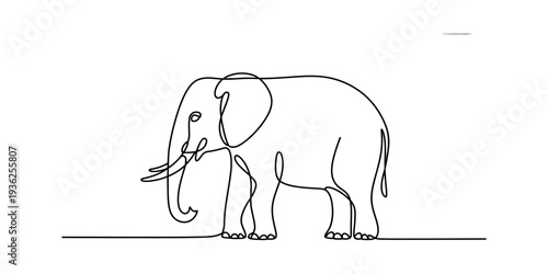 Minimalist continuous line drawing of a majestic elephant standing on a white background. Vector, illustration