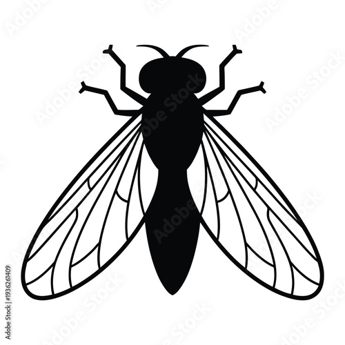 vector illustration of a fly