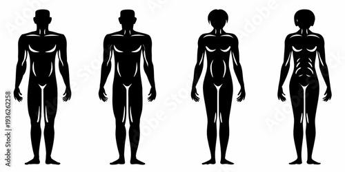 Silhouettes of four diverse human figures displaying varying body types