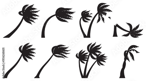 Collection of silhouette illustrations of palm trees bending and swaying in strong winds, representing a storm or hurricane.