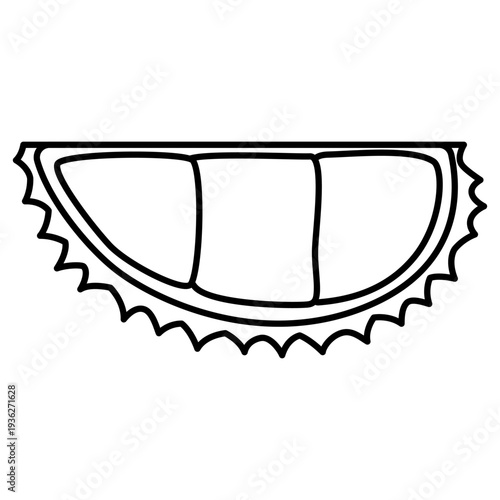 durian illustration