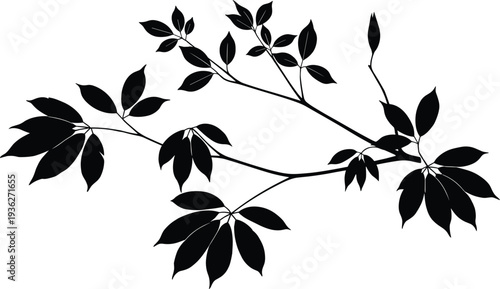 Leafy branch silhouette with compound leaves, botanical vector illustration, plant design graphics, nature foliage shapes for artistic and educational use