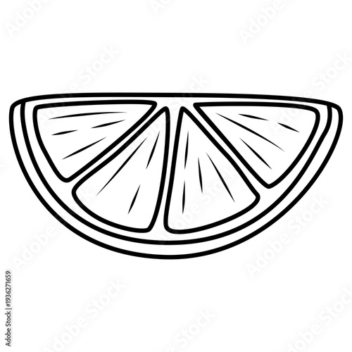 lemon slice illustration