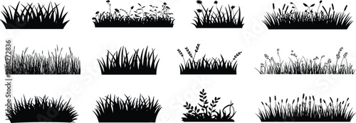 PrintSet of black grass silhouettes, wild meadow plants and weed borders isolated on white background for nature landscape design,
