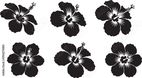 Black silhouette collection of five hibiscus flower designs on a white background, minimal outline.