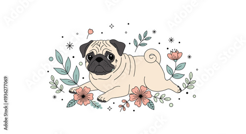 Adorable pug dog lying on its belly surrounded by delicate flowers, leaves, and tiny stars on a clean white background.