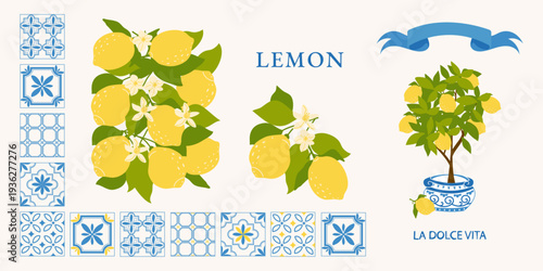 The Mediterranean Lemons set features Italian tile patterns and a lemon tree illustration in the style of La Dolce Vita. Fresh citrus botanical elements are perfect for packaging, kitchen decor, and