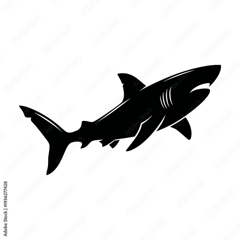Obraz premium shark vector illustration