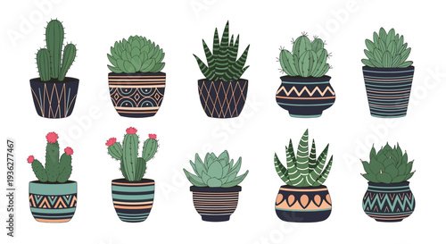 Set of various indoor plants in decorative ceramic pots including succulents and cacti with different patterns and shapes.