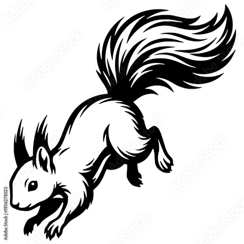 Silhouette of a wild squirrel