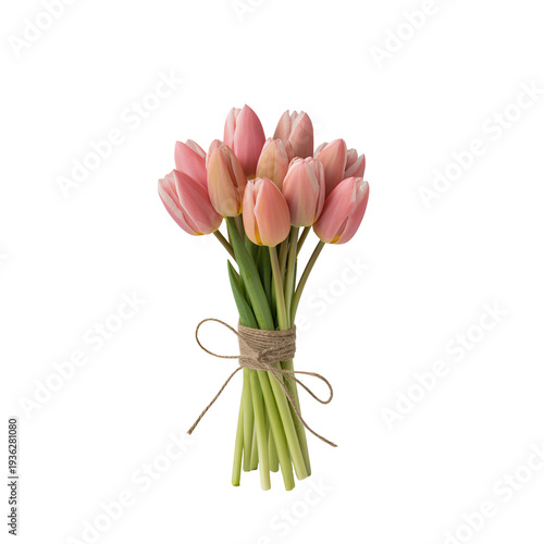 A beautiful bouquet of pink tulips tied with a rustic twine ribbon. isolated on transparent background