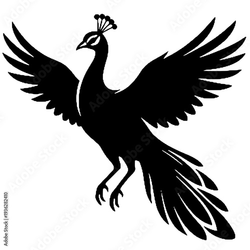 Beautiful peacock silhouette