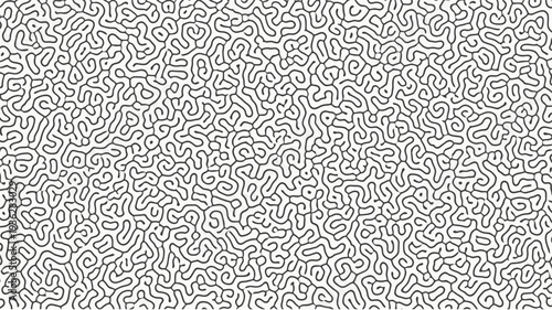 A black and white abstract image with intricate patterns and shapes