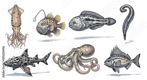 Diverse collection of marine sea creatures including squid octopus shark anglerfish and other deep sea inhabitants in a realistic illustration style