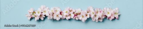 Pink cherry blossoms arranged in a centered horizontal line over a light blue background creating a minimal spring floral banner for beauty and wellness advertising copy space