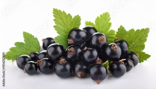 fresh black currants with leaves isolated on white background