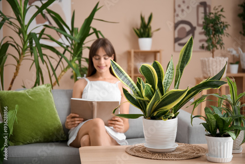 Young woman reading book ne...