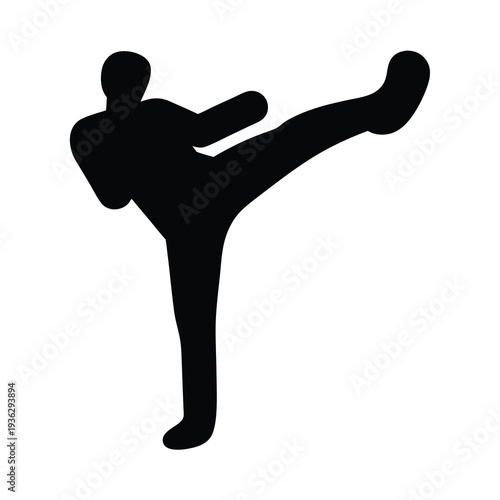 Silhouette of a person performing a high kick martial arts move