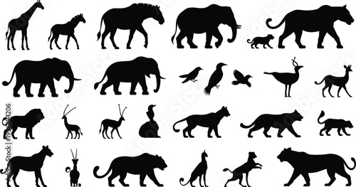 Collection of African Wildlife Animal Silhouettes on White Background animals giraffe