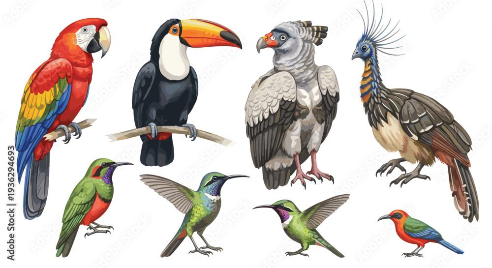 Fototapeta premium Vibrant Collection of Exotic Tropical Birds Including Macaw Toucan Hummingbird and Quetzal in Diverse Poses
